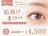 【U24学割】垢抜けまつパ♪トリートメント&アイシャンプー付 ￥6,600→￥4,500 