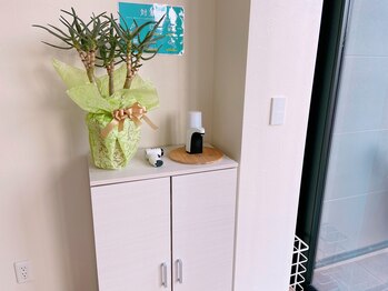 ヴィテラス バイ アリア(Veteras by aria)/【下駄箱】