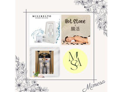 ミモザ(Mimosa)の写真