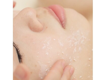 ミント(mint)の写真