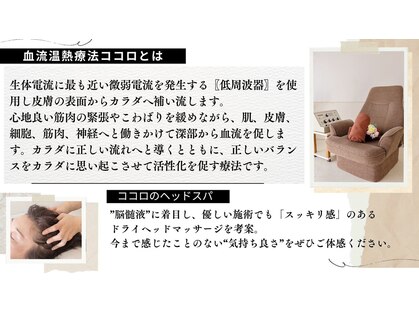 血流温熱療法 ココロの写真