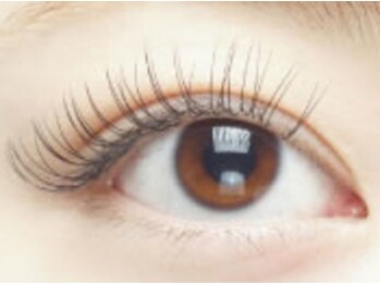 バレッタビューティ(VALETTA beauty)/【本数別】80本