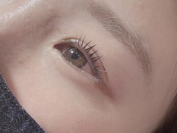 エムクラット(M-clat)/美まつ毛LASH　LIFT