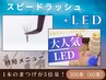 《LED＋スピードラッシュ》300本(60束)