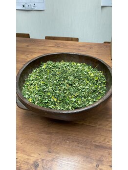 リセットモア(Reset More)/県内産モリンガ蒸し