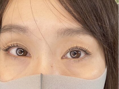 ボブ(BOB)の写真