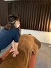 【定番メニュー】疲労回復じっくりもみほぐし90分￥5600→5400