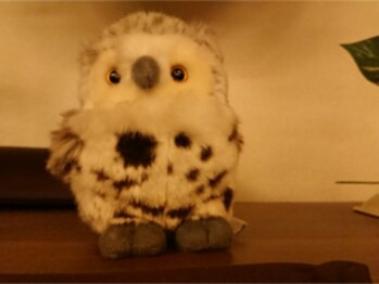 シュエット 池袋店/ふくろうコレクション