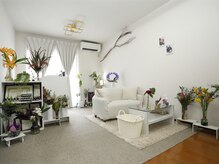 プロテア(Protea)/季節の植物たちがお出迎えします