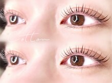 コットン(cotton)