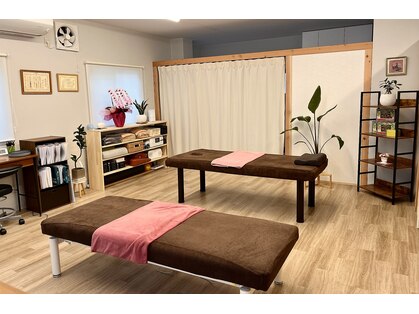 さくらの写真