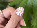 選べるポップデザイン