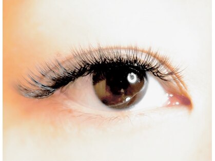 ハイラッシュ(HiLash)の写真