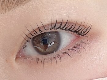 ブランシュ(Blanche)/ロイヤルラッシュリフト上下