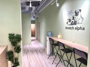 ストレッチアルファ(stretch alpha)の写真/ストレッチとピラティスの良いとこ取り◎目的や効果に合わせて選択可能♪あなたに合わせて組み合わせ◎