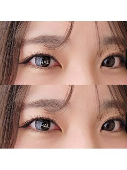 ハル(HAL)/フラットラッシュ120本