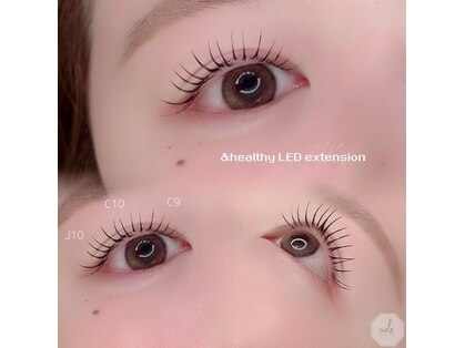 シエロ(cielo)の写真