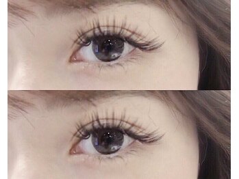 エリシアン ビューティーサロン(Elysian)/３Dボリュームラッシュ６００本