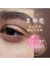 【モニター価格】男女OK！眉毛メニュー登場！3500円