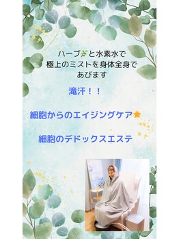 ヨサパーク カズリー(YOSA PARK kazury)/ルルオンって何?