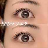 ゲンティアナ(Gentiana)
