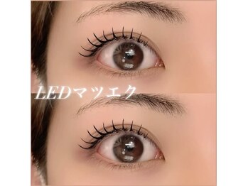 ゲンティアナ(Gentiana)