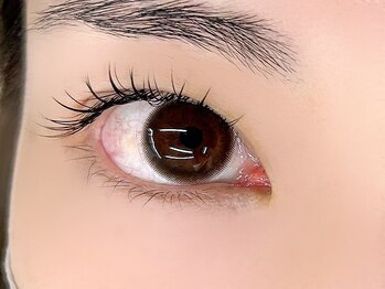 インザピンクリリー(in the pink LILY)/フラットラッシュ120本