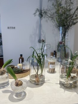 アルネ(arne)/季節の植物が寄り添います。