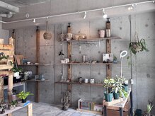 パザパ(pas a pas)の雰囲気（店内の植物、雑貨もご購入出来ます！）