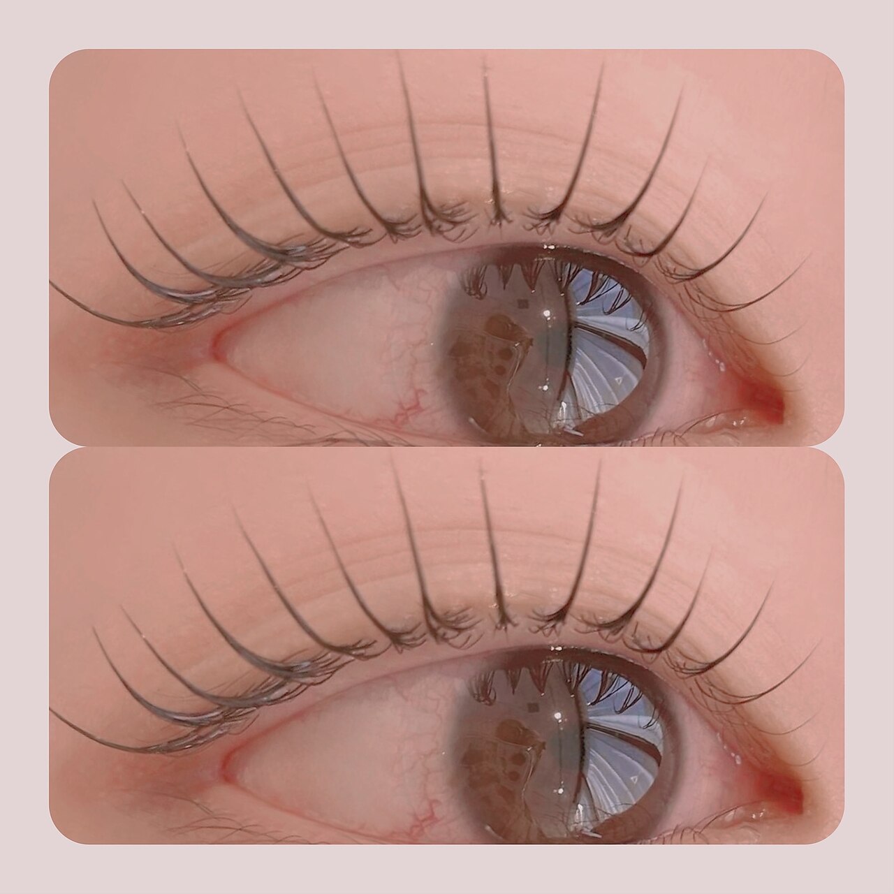 【不動の人気★】パリジェンヌラッシュリフト+トリートメント付き 6600→6000