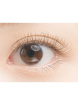 エクステの種類が豊富