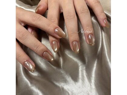 アドニス(Adonis)の写真