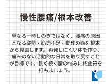 共立総合整骨院 八王子院/根本改善