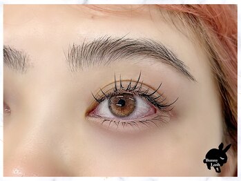 バニーラッシュ(Bunny Lash)/【ワンホンマツエク】