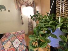 ラクサー(Raksaa)/