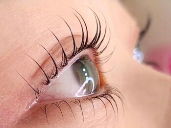 ローズラッシュ(Rose Lash)の写真/【上下まつげパーマ（パリジェンヌ）¥11000】上下の施術で瞳をよりパッチリ見せ,小顔効果◎詳細はTELにて♪