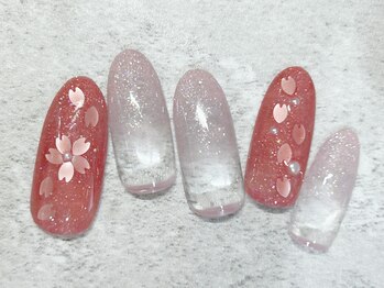 ソエルシー(soel sii)/定額デザイン　シンプル