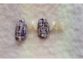 全員☆定額6980円