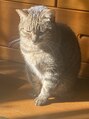 メゾン ド ナリ(maison de NALI) 圧倒的猫派です(^^)6匹飼ってます笑
