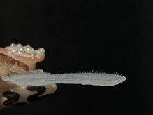 アンノウン 梅田店(Unknown.)/メンズフェイシャルワックス