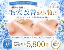 ヴィオーラ(Viaura)