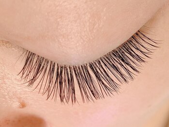 レミア 関内(REMIA)/バインドロック１００束