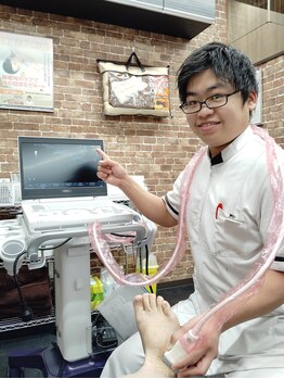 成増整骨院/エコー