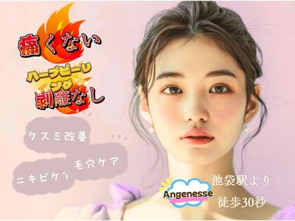 アンジュネスの写真