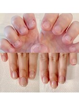 カンパニュラ(Campanula)/