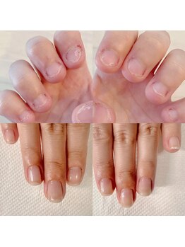 カンパニュラ(Campanula)/