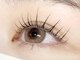 アイラッシュサロン バイ サリーエミリー(eyelash salon by SallyEmiry)の写真/柏大人気まつ毛サロン★実力派スタッフ勢揃いで、大人の女性を美しく彩る♪【似合わせまつ毛パーマ￥3900】