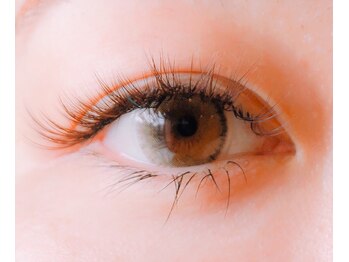 ブリッジバイネオリーブ 綱島店(bridge by neolive)/ナチュラルデザイン◆