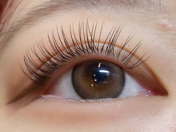 カクテル(COCKTAIL)の写真/「マツエクのモチが良くない…まつげが上がらない…」そんなお悩みは当店で解消☆魅せるステキなお目元に!