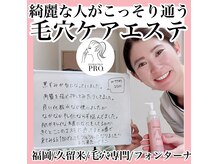 フォンターナ(Fontana)